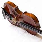 Violine Modell: Guiseppe dall'Aglio | gebraucht spielfertig günstig vom Geigenbauer kaufen